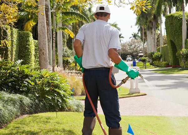 About Foss OK Pest Control